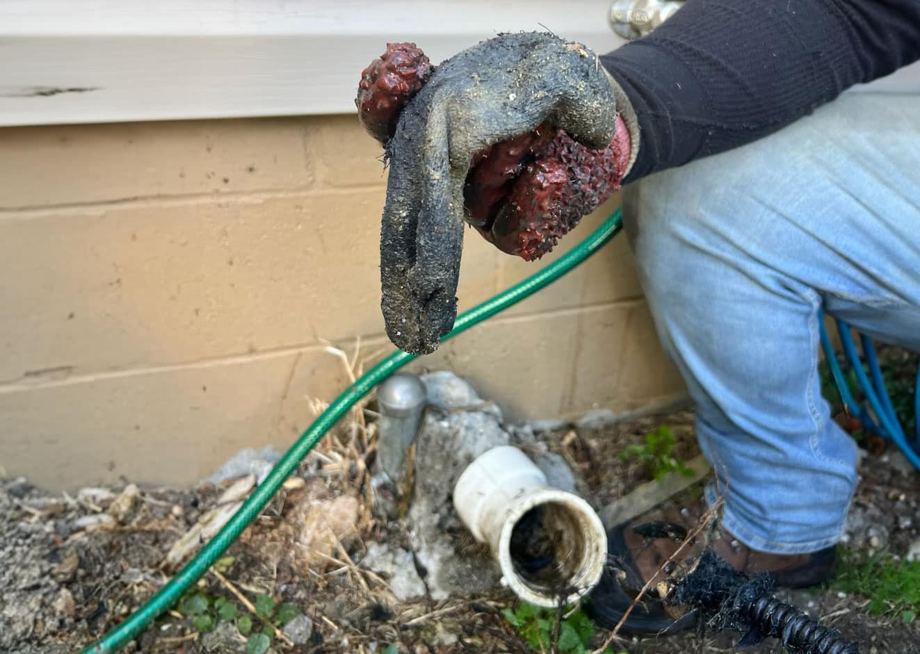 A person wearing a dirty glove holds a handful of black sludge removed from a clogged outdoor drainpipe, with a green hose and debris nearby—perfect for highlighting Trenchless Sewer Repair solutions like those offered by bison plumbing warren michigan.