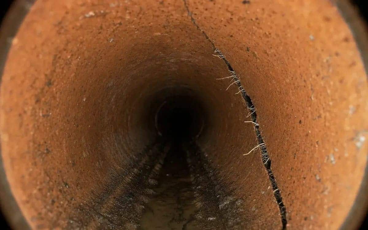 Longitudinal crack with root intrusion at 34 feet — Troy, MI pre-purchase inspection
