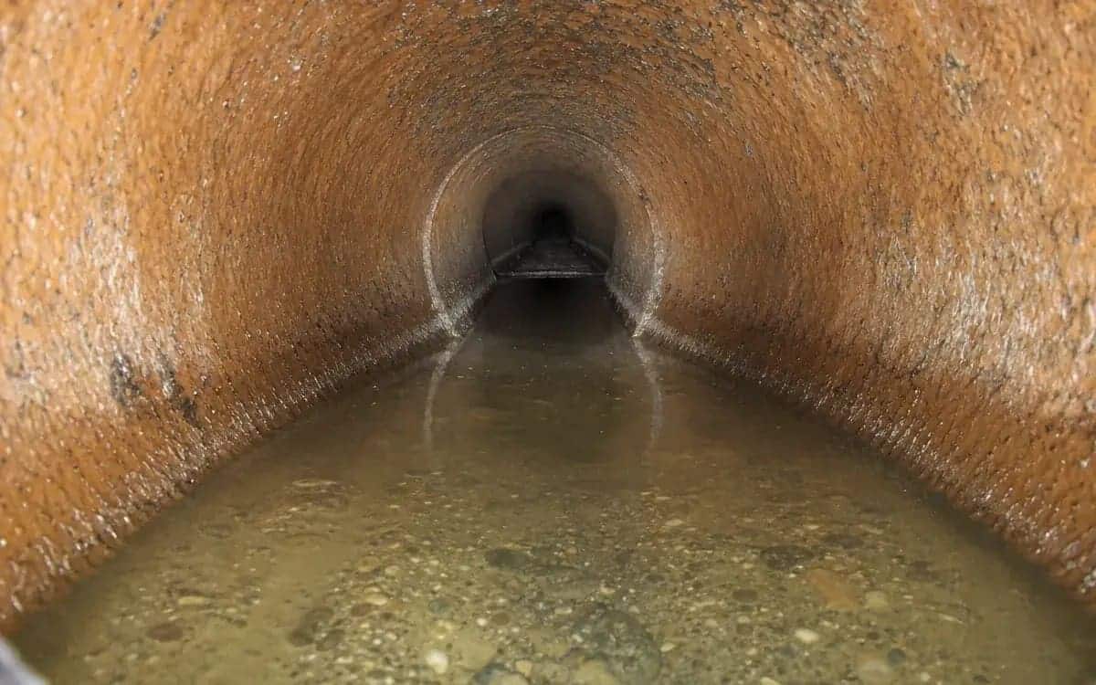 Bellied pipe section with standing water at 44 feet — Royal Oak, MI sewer lateral