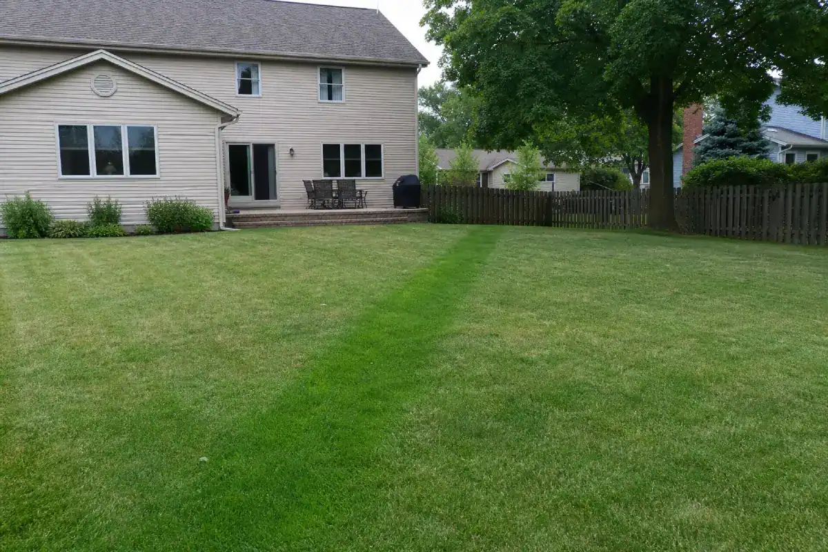 A backyard with a house, patio furniture, trees, and a wooden fence. A single bright green strip of freshly mowed grass runs diagonally across the lawn.