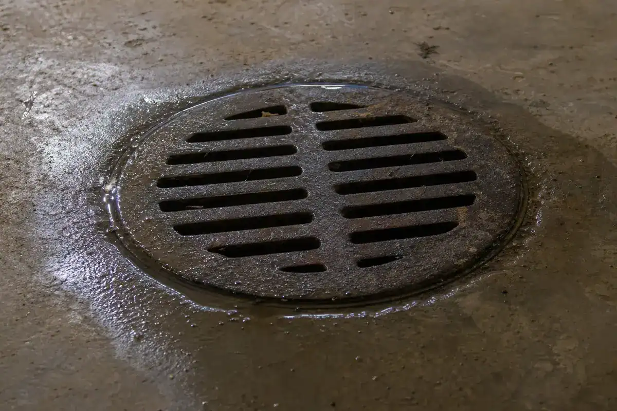 A round metal floor drain cover with horizontal slats sits in a wet, concrete surface, surrounded by a small ring of water.