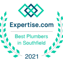 Badge with Expertise.com Best Plumbers in Southfield 2021 in teal and navy text, surrounded by a laurel wreath and a geometric logo at the top—highlighting Bison Plumbing, trusted for trenchless sewer repair and plumbers in Warren, MI.